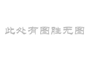 西藏拉薩1200方/天村鎮集中供水工程用哪種水凈化設備?